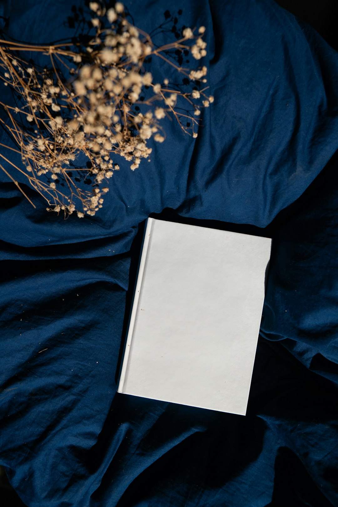 Couverture Éclats de Bleu